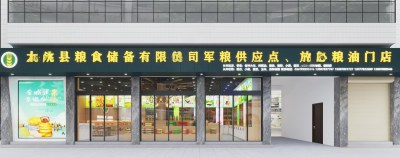 现代粮食米面油店3D模型下载